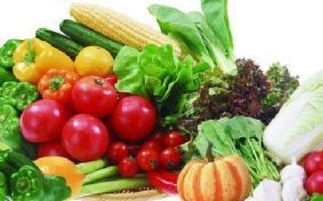 山西科普惠農特色優質農產品展銷會盛大開幕，花卉產業綻放異彩